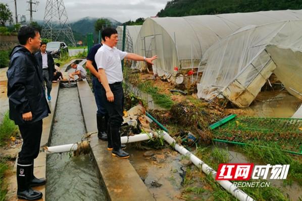 双牌麻江事件揭秘，真相揭晓与应对策略