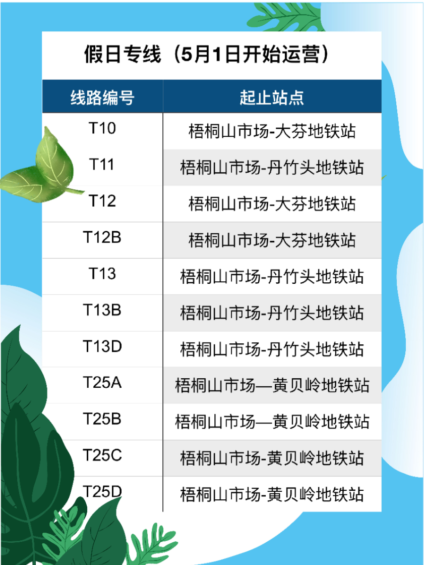 巴士在线最新行情深度解读与分析