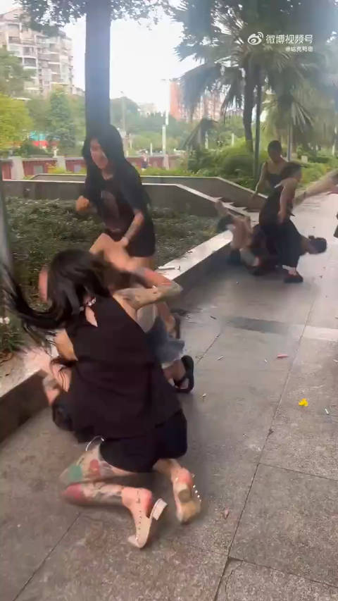 女生打人视频现象，网络时代的反思与警示