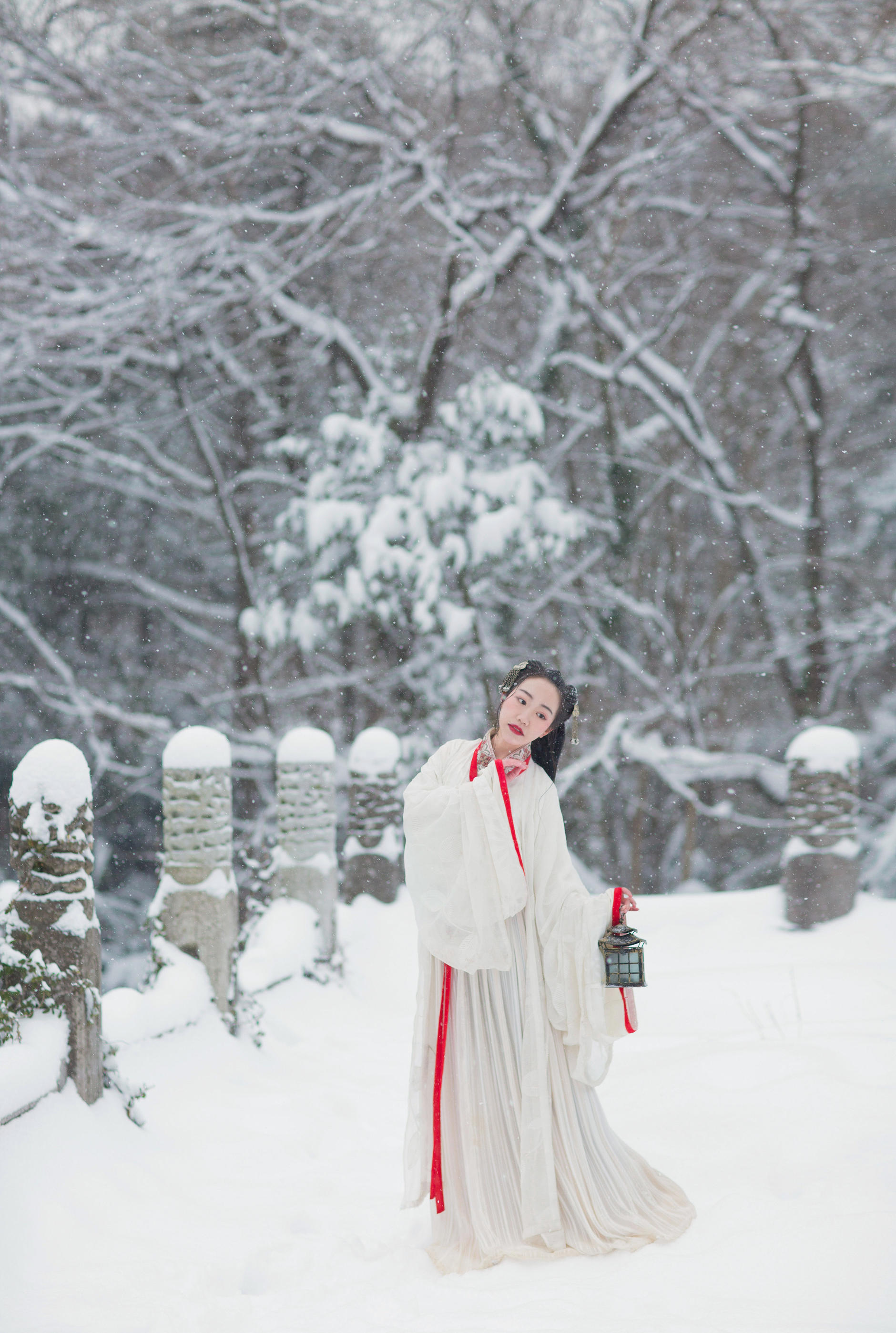 金陵雪最新小说奇幻之旅探秘