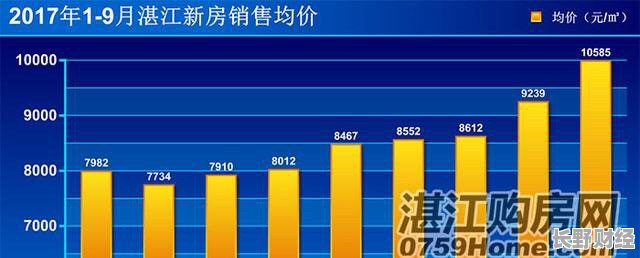 湛江楼市最新动态解析