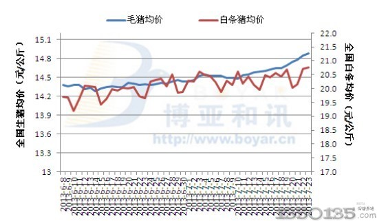 全国毛猪走势最新分析报告