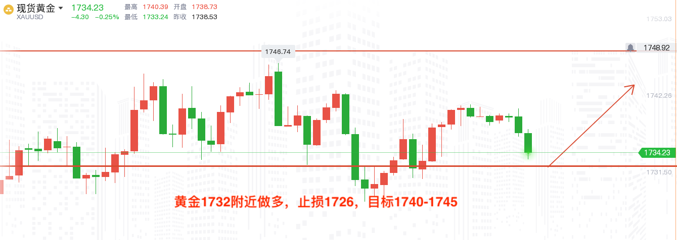 今日黄金走势分析，市场动态与未来展望