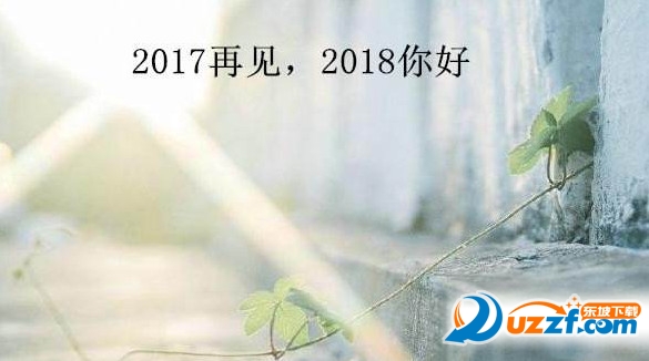 2017最新留言的独特魅力及其影响力解析