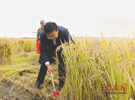 肇源最新新闻动态报道速递