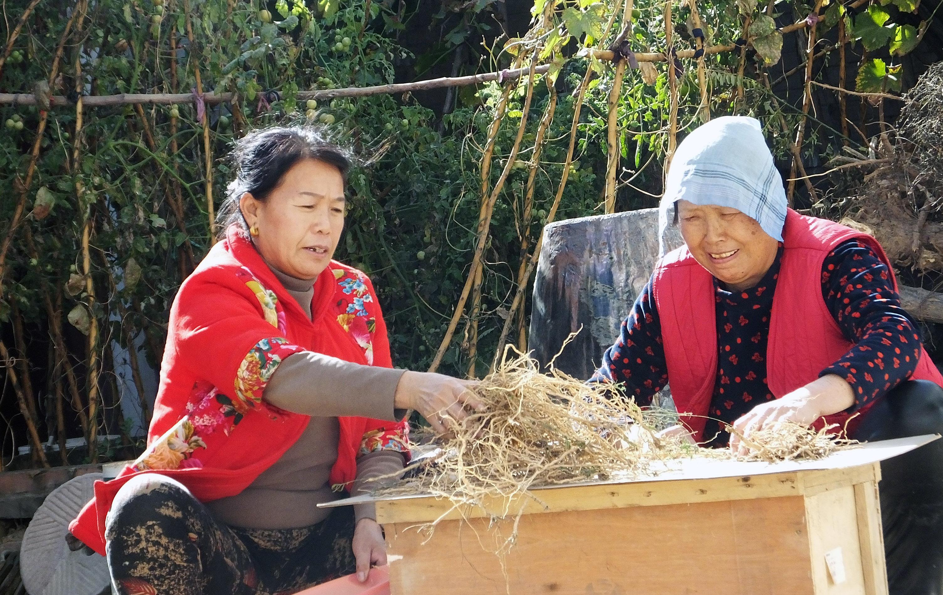 运城头条，最新动态与城市脉搏速览