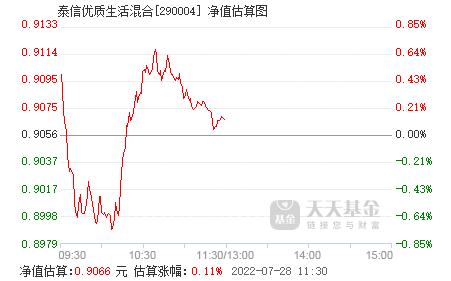 关于基金最新净值查询，解析210009基金最新净值详情