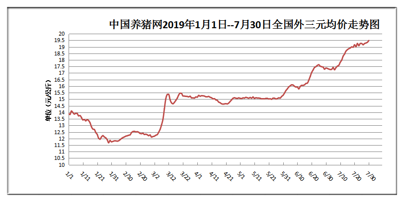 专家最新预测，猪价走势分析与展望