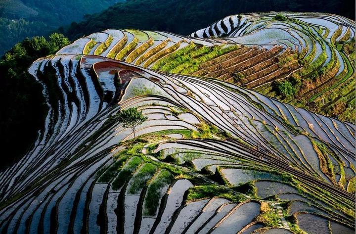 穿越田园奇幻之旅，家有仙田txt下载