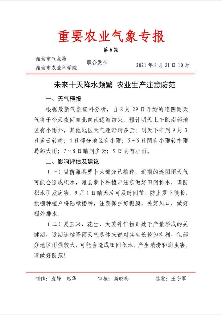 潍坊大姜最新价格行情分析